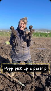 Come a join us this Sunday from 10-12 on a parsnip pick! This is a family friendly glean to collect parsnips missed by the harvester. Helping us is helping others in our community, so please do come along.  The glean is in Sennen, and wellies are essential whatever the weather.
Please DM for exact location.
See you there!#parsnips#freshveg#nutrition #foodpovertyawareness #community#sennen #helpinghands