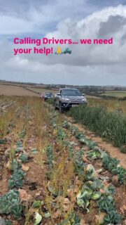 🚘🚛🛻Come and join our team of volunteer drivers. As we continue to expand we are looking to recruit new helpers to drive routes within Cornwall. Please check out the link in the ➡️biog and see how you can be part of our growing community #gleaning #community #drivinghero #volunteer#cornwallfood #help #surplusfood #foodpovertyawareness #grattitude