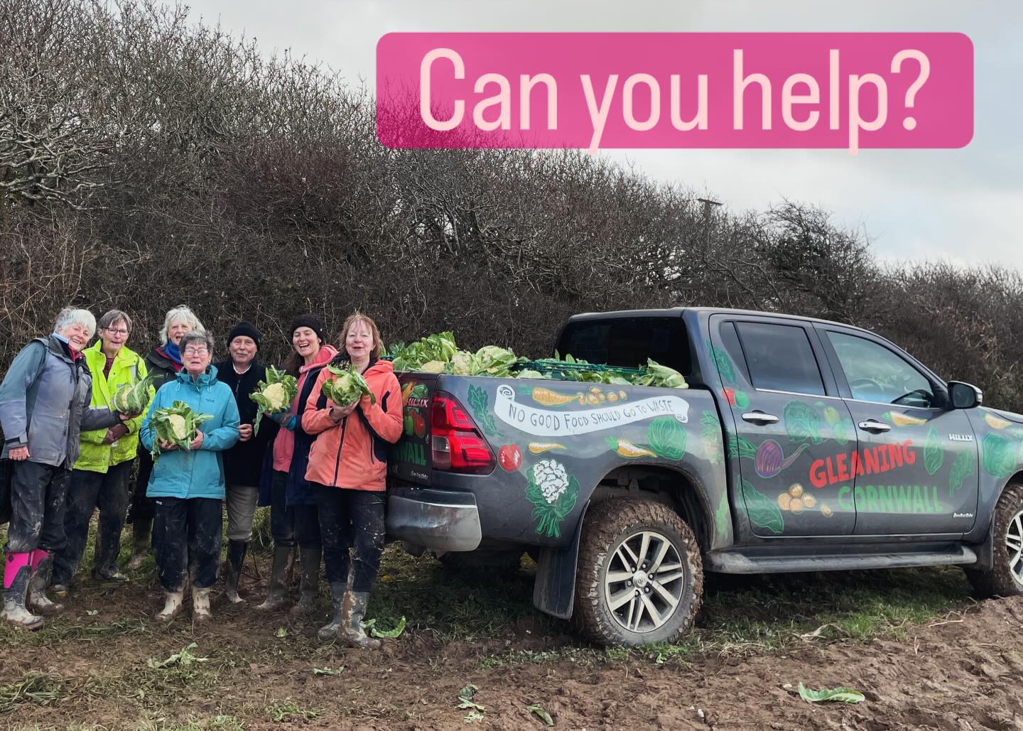 Gleaning Cornwall saved local charities £182.000 in 2025. We did this by harvesting local surplus produce donated by kind farmers and distributing it to local food based charities. It’s easy really, but we need your help. Do you love Cornwall, discovering new places, being outdoors, meeting new people and making friends? Then this could be just the volunteering opportunity for you. DM for more information or contact through our website, link in bio #gleaning# #volunteer #community #helpingothers thegreatoutdoors