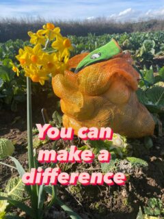 Just 3 hours of your time can help hundreds of people in need in your community. Regularly figures are published showing the huge increase in food poverty in the UK. Residents in Cornwall earn almost half as much as those in other counties and are still having to meet the rising costs of living. We help by harvesting surplus, good quality nutritious foods from fields owned by local farmers. This collaboration can only be successful with the support of volunteer teams. As we move forward into Spring and summer what better opportunity to enjoy being out in nature and help those in need. So please do check us out. 🔗 in biog. Or DM for more details of how you can make a difference 🙏