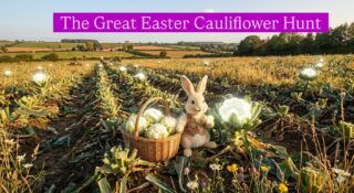 Roll up, Roll up for the Great Gleaning Cornwall Easter cauliflower Hunt! When you’re full of eggs and chocolate why not join the team in a sunny Cornish field to harvest the illusive cauliflower. We will be heading to fields near Perranporth to hunt these fractal fancies. Not only will you be helping those in food poverty, but you can take one home too. Yum…. How many cauliflower recipes do you know? TUESDAY 7th April from 10-12. DM for details of how you can help. #helpingothers #communityevents #easterfun #gleaning