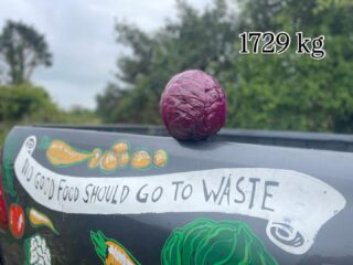 This week we have once again been collaborating with @riviera.produce who had surplus Red cabbages in their fields. Our incredible volunteers harvested and peeled a Whopping 1729kg of these red beauties and had them distributed to Cornish food organisations 40mins after the harvest. WHAT A TEAM! #teamwork #cornwallfood #communityengagement #gleaning #gratitude