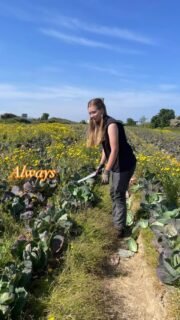 Farewell to one of our absolute 🌟 stars! Since 2024 Melina has been an incredible team player with us at Gleaning Cornwall. Her dedication and positivity has made a real impact on our community. We are all@sad to see you go, but excited for your next chapter as you head back to Sweden. Maybe you will start Gleaning Sweden! Tack så myket for everything…. You will be missed in the fields🥬🙏🥦#farewell #sweden #gratitude #volunteer #futureleaders