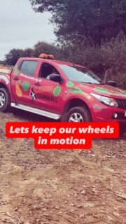 Please do nominate us, it only takes a couple of minutes. Funding is vital to our very existence. The work we do changes the lives of thousands of families across Cornwall and Devon. Let’s keep the wheels turning.🔗in biog.#fundingopportunities #gleaning #foodwasterecycling #pickuptrucks #communityimpact