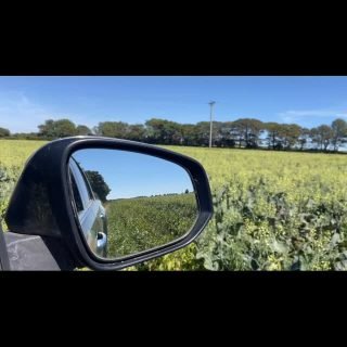 Tenderstem is a hybrid of broccoli and Chinese kale. It has long green stems and small florets. Its a nutritional powerhouse, packed full of vitamins and fibre. This week we were able to salvage some from Cornish fields that was going to flower in the heat. Thanks @riviera.produce #veg #nutrition #vitaminsandminerals #gleaning #cornwall