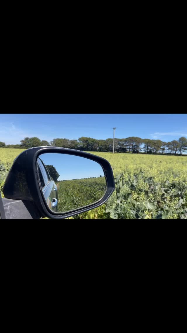 Tenderstem is a hybrid of broccoli and Chinese kale. It has long green stems and small florets. Its a nutritional powerhouse, packed full of vitamins and fibre. This week we were able to salvage some from Cornish fields that was going to flower in the heat. Thanks @riviera.produce #veg #nutrition #vitaminsandminerals #gleaning #cornwall