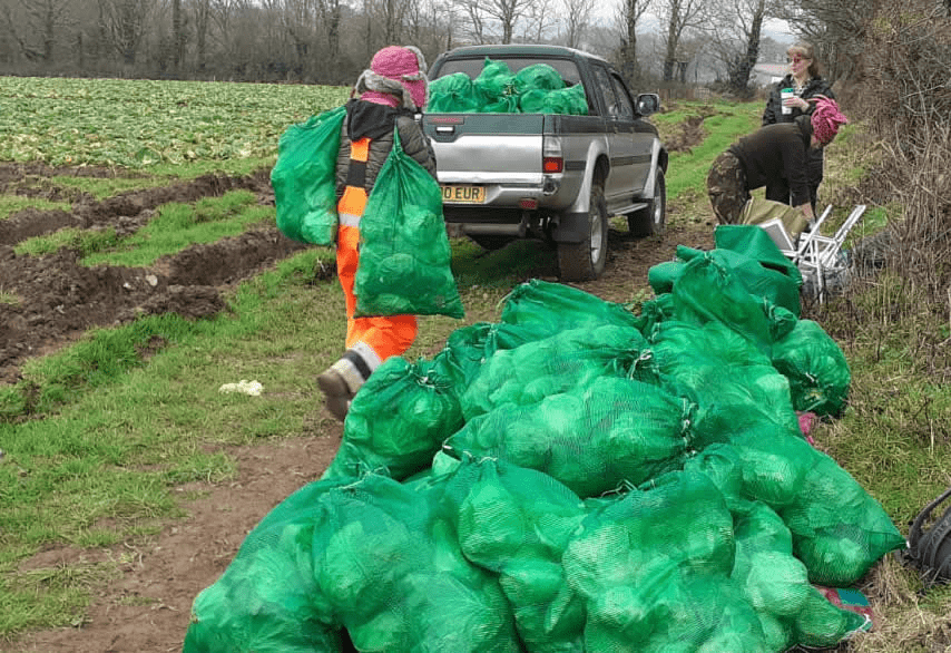 pickup truck and veg