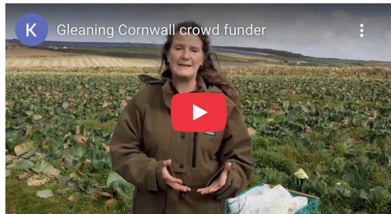 Gleaning Cornwall – Vehicle Fundraiser