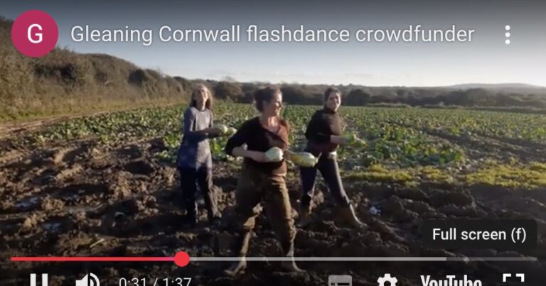 Crowdfunder flashmob!