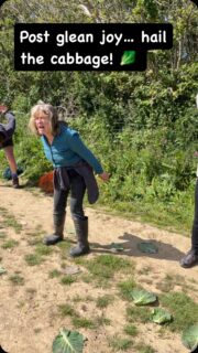 Every days a fun day out with Gleaning Cornwall . What better way to iron out those harvesting backs than with a shimmy & shake, hailing the spring greens! Must be something in the air.#volunteer #fun #activities #gleaning #communityfirst #funinafield #harvest #joy #friendships #sunnydays #grattitude #cornwalluk