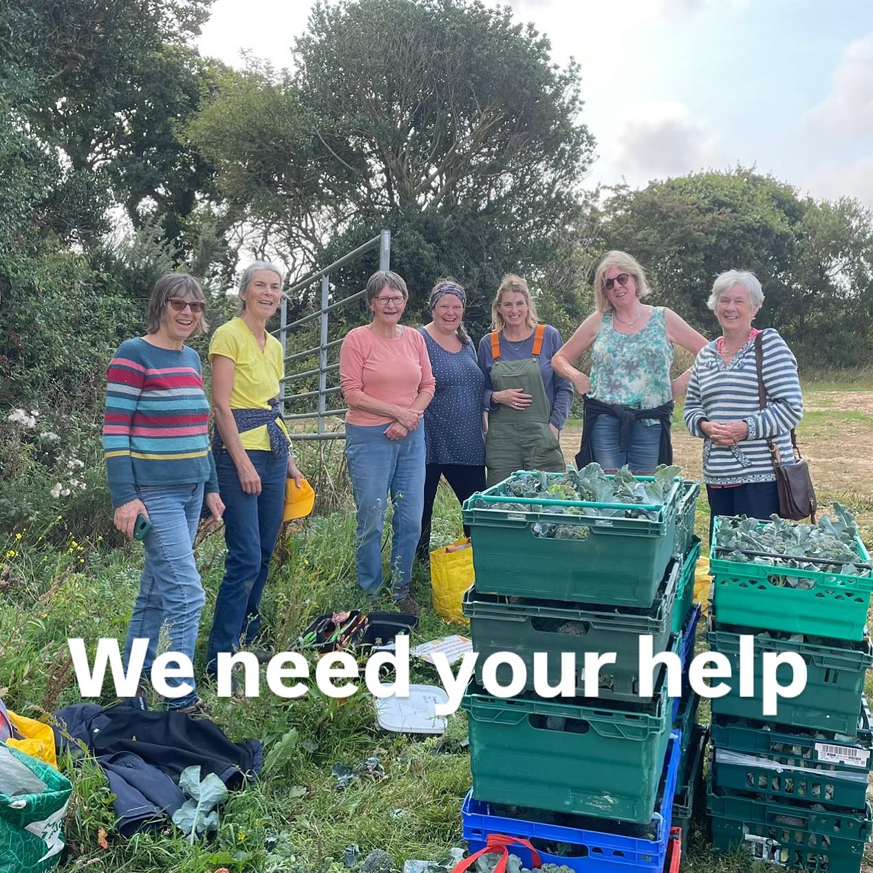 We need your help!
Did you know that in just 2 hours you could help harvest enough savoys to service food banks and community groups across Cornwall and Devon?
Well thats the truth of it. So why not come and join a small team of volunteers this Monday from 12.30. We provide any equipment needed and refreshments for apres glean!
DM for details.
🥬🙏🥬See you on the field#bankholidayweekend☀️ #communitysupport #cornwalluk #manaccan #savoycabbage #nutrition #helpinghands #feelgood #supportyourcommunity #grattitudeattitude #gleaning