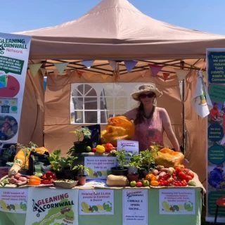 Thanks to @tropicalpressure for inviting us to their movements area, giving us a platform to engage with some vibrant festival goers and chat all things gleaning. Our team attempted to keep cool under the gazebo whilst initiating rounds of cabbage n spoon races…. Tiny cabbages all being harvested from the previous week’s gleanings. Much fun was had by all;  and a result of  conversations we have met a new producer and received 70kg of surplus new potatoes which have been distributed over a 30miles radius along with courgette, cauli and broccoli. Go team Glean!